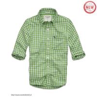 heren abercrombie fitch plaid lang overhemd moose logo groen wit Hot Verkoop Mode qjz0w158